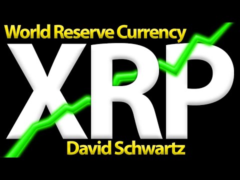 XRP World Reserve Currency With David Schwartz | Wealthy Cryptocurrency Investors