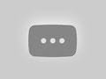 Nvidia Stock Prediciron: Bill Gates Said Nvidia Will Hit $700 | NVDA Stock News