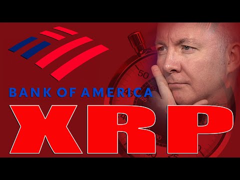 XRP Ripple NEWS? PREPARE FOR THE OPEN - Martyn Lucas Investor