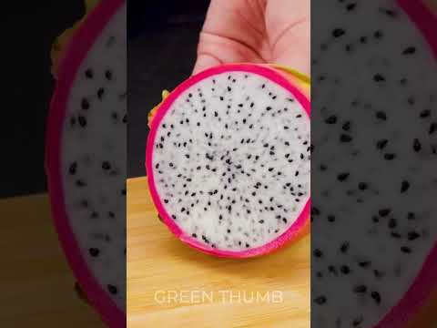 Unlock the Secrets to Effortless Plant Growth with These Amazing Hacks!