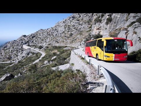Discover Mallorca : TIB Bus Network Connecting the Rest of the Island