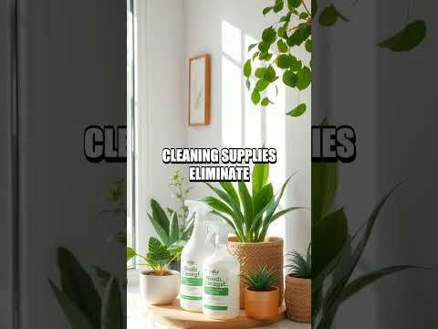 The Hidden Benefits of Eco-Friendly Products