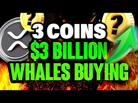 Crypto Whales Are Buying These 3 Altcoins Ahead of Alt Season 🐋