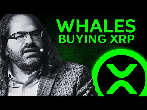 XRP Explosion? Whales’ Massive Moves Reveal a Game-Changing Breakout!