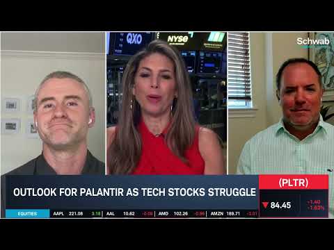 PLTR &quot;Incredible&quot; Company, &quot;Sick of&quot; Valuation and A.I. Sentiment