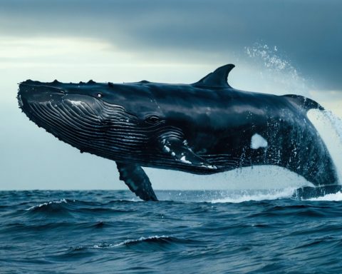 Crypto Whales Are Betting Big on These Under-the-Radar Altcoins—Here’s Why